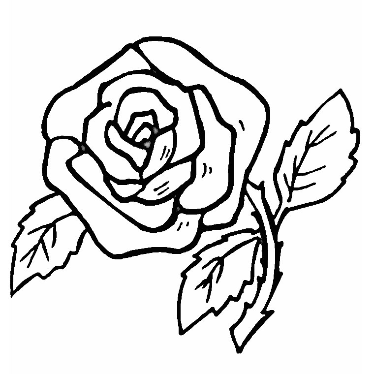 Desenho gratuito Rosas #161870 da colecao Natureza e Estações para imprimir