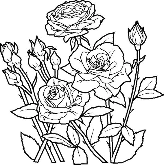 Desenho gratuito Rosas #161888 da colecao Natureza e Estações para imprimir