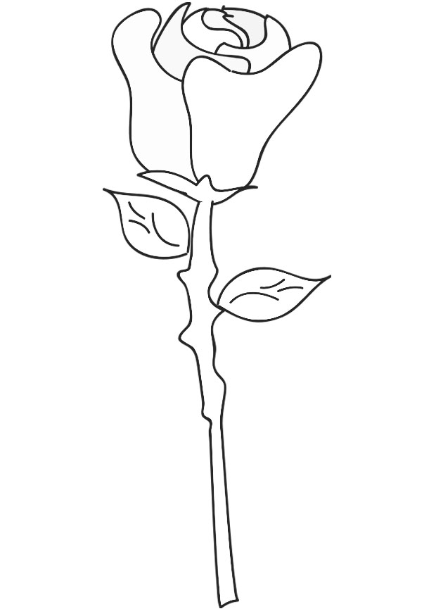 Desenho gratuito Rosas #161950 da colecao Natureza e Estações para imprimir