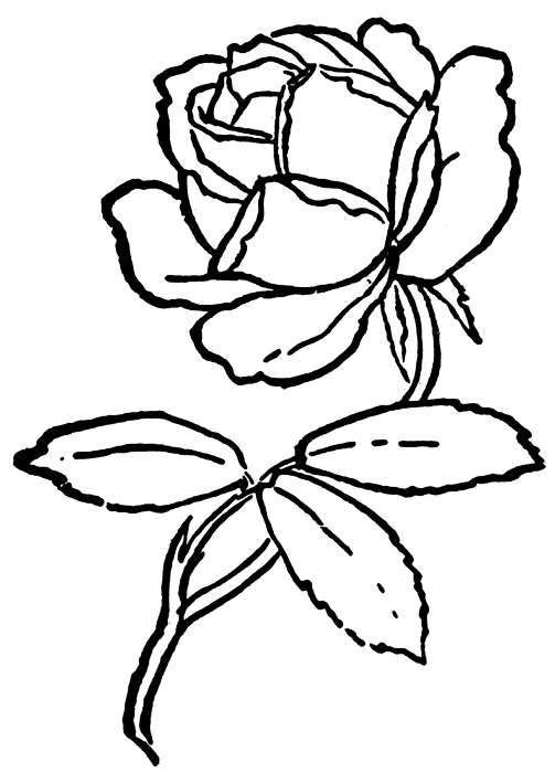 Desenho grátis de Rosas #161989 para crianças e adultos, coleção Natureza e Estações