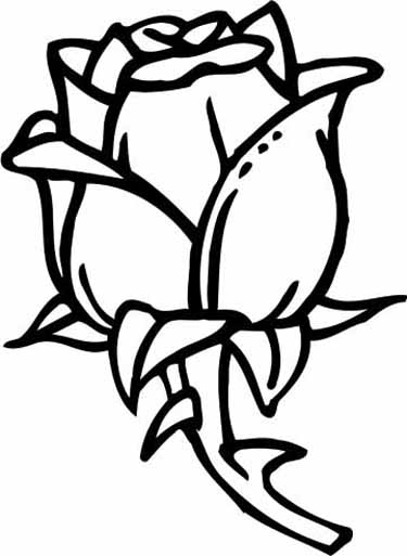 Atividade criativa: desenho de Rosas #162032 para colorir da coleção Natureza e Estações