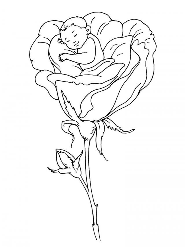 Desenho gratuito Rosas #162037 da colecao Natureza e Estações para imprimir