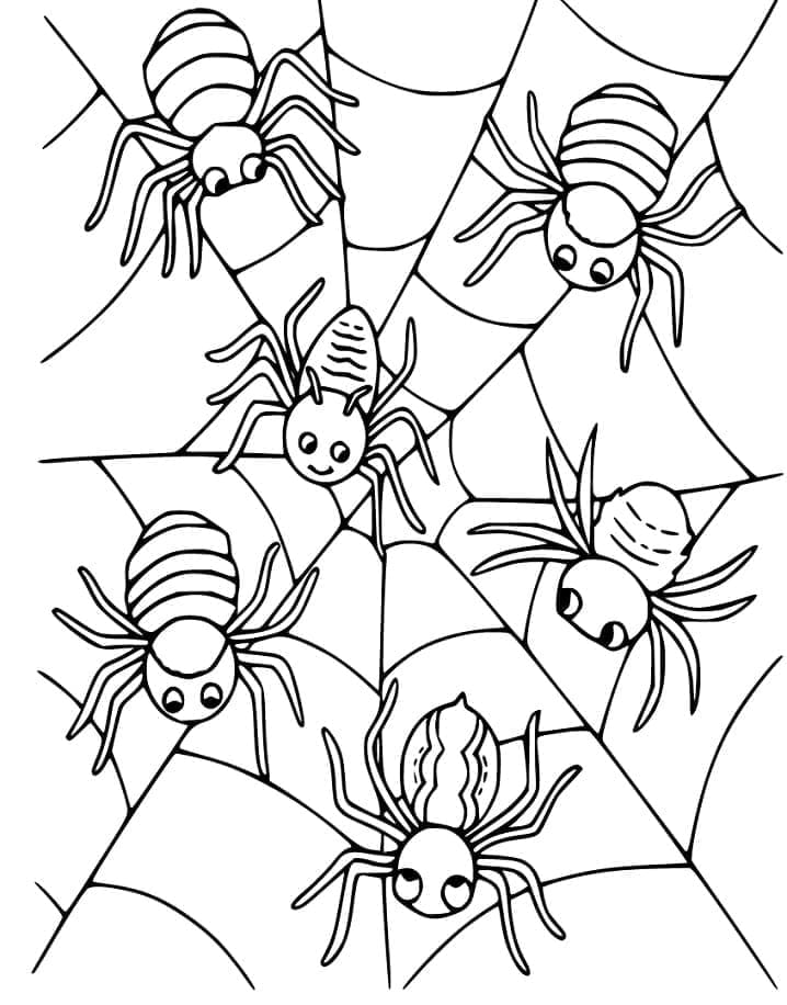Desenho gratuito Teia de Aranha #204186 da colecao Natureza e Estações para imprimir