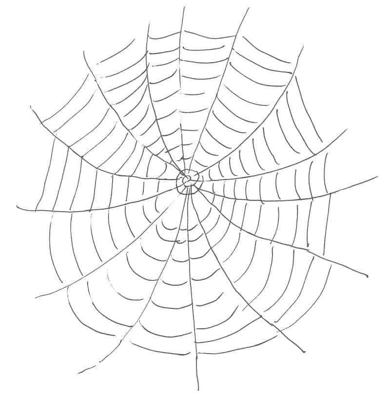 Desenho gratuito Teia de Aranha #204189 da colecao Natureza e Estações para imprimir