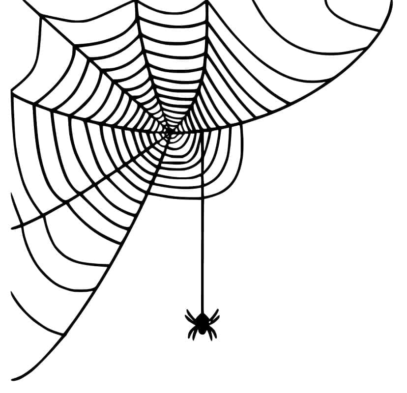 Desenho gratuito Teia de Aranha #204191 da colecao Natureza e Estações para imprimir
