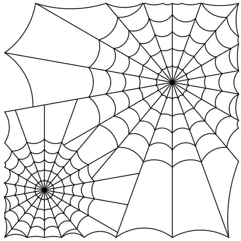 Desenho gratuito Teia de Aranha #204197 da colecao Natureza e Estações para imprimir Desenho gratuito Teia de Aranha #204197 da colecao Natureza e Estações para imprimir