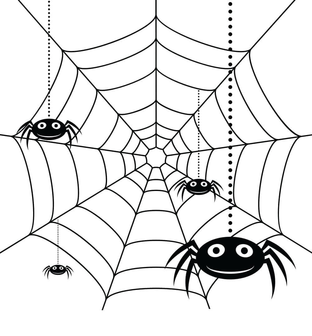 Página para colorir: Teia de Aranha (Natureza e Estações) #204202 - Páginas para Colorir Imprimíveis Gratuitamente