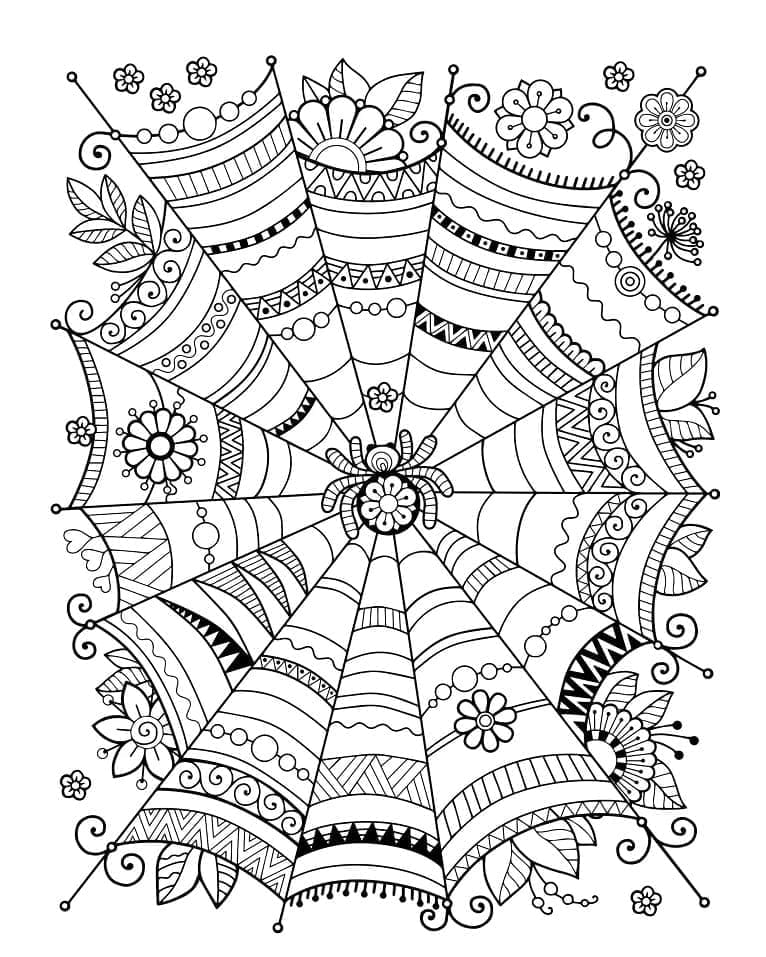 Desenho gratuito Teia de Aranha #204205 da colecao Natureza e Estações para imprimir