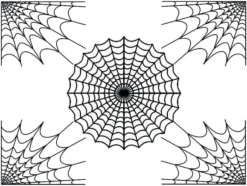 Desenho gratuito Teia de Aranha #204216 da colecao Natureza e Estações para imprimir