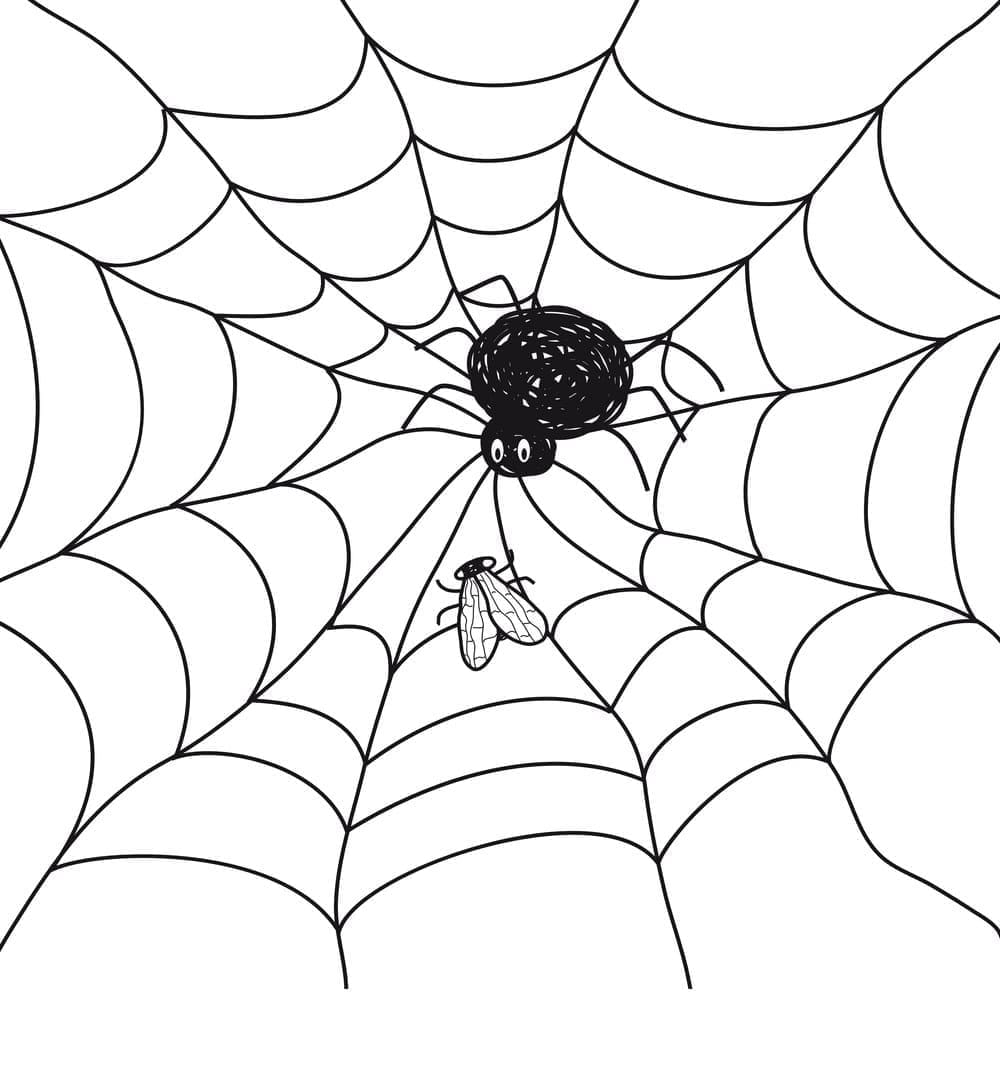 Desenho gratuito Teia de Aranha #204218 da colecao Natureza e Estações para imprimir