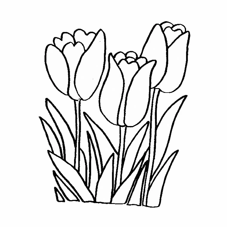 Página para colorir: Tulipa (Natureza e Estações) #161613 - Páginas para Colorir Imprimíveis Gratuitamente