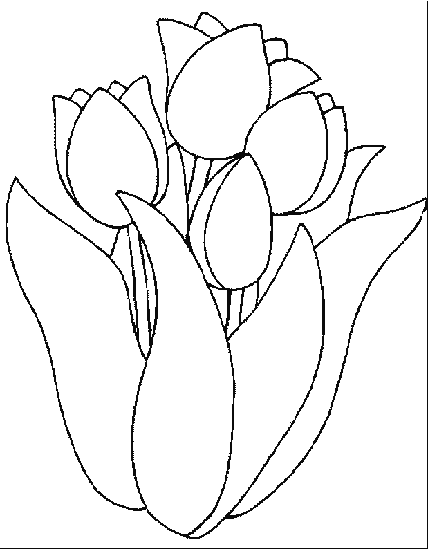 Desenho gratuito Tulipa #161642 da colecao Natureza e Estações para imprimir