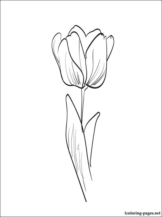 Desenho gratuito Tulipa #161688 da colecao Natureza e Estações para imprimir