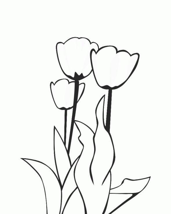 Desenho gratuito Tulipa #161707 da colecao Natureza e Estações para imprimir Desenho gratuito Tulipa #161707 da colecao Natureza e Estações para imprimir
