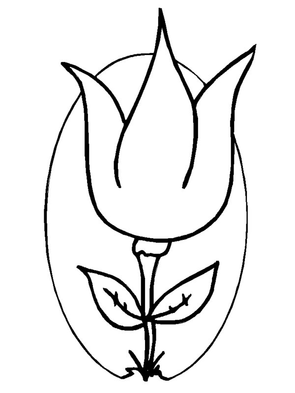 Desenho gratuito Tulipa #161736 da colecao Natureza e Estações para imprimir