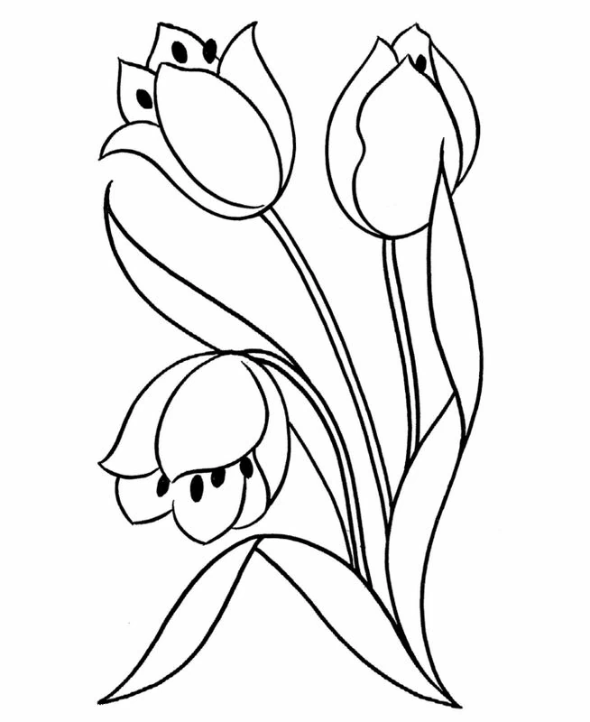 Desenho gratuito Tulipa #161748 da colecao Natureza e Estações para imprimir