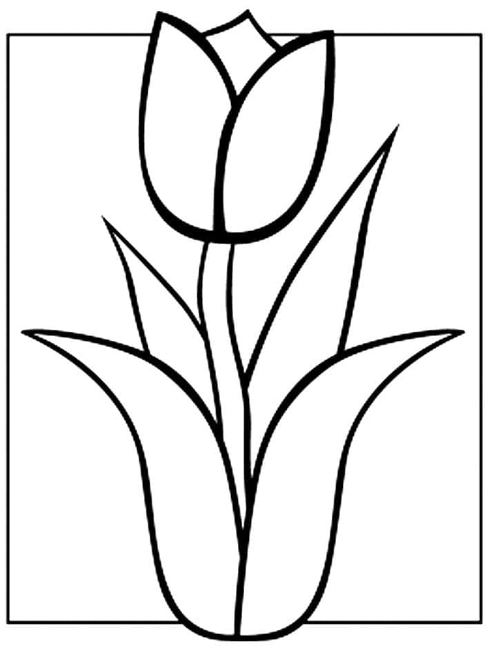 Desenho gratuito Tulipa #174115 da colecao Natureza e Estações para imprimir