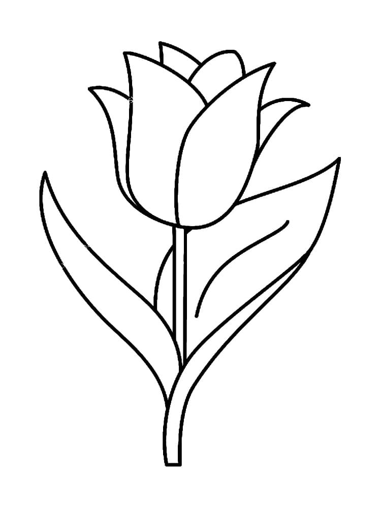 Desenho gratuito Tulipa #174120 da colecao Natureza e Estações para imprimir Desenho gratuito Tulipa #174120 da colecao Natureza e Estações para imprimir
