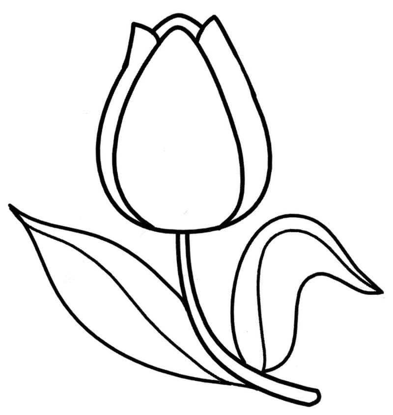 Desenho gratuito Tulipa #174127 da colecao Natureza e Estações para imprimir