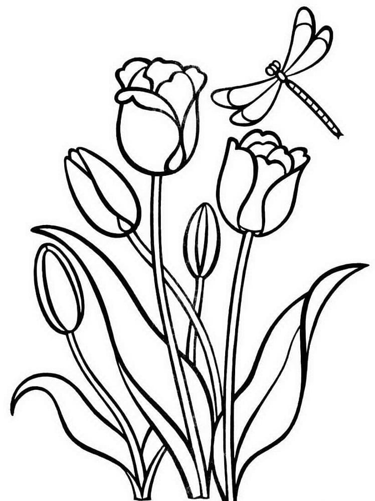 Desenho imprimível de Tulipa #174133 para colorir, pertence à coleção Natureza e Estações Desenho imprimível de Tulipa #174133 para colorir, pertence à coleção Natureza e Estações