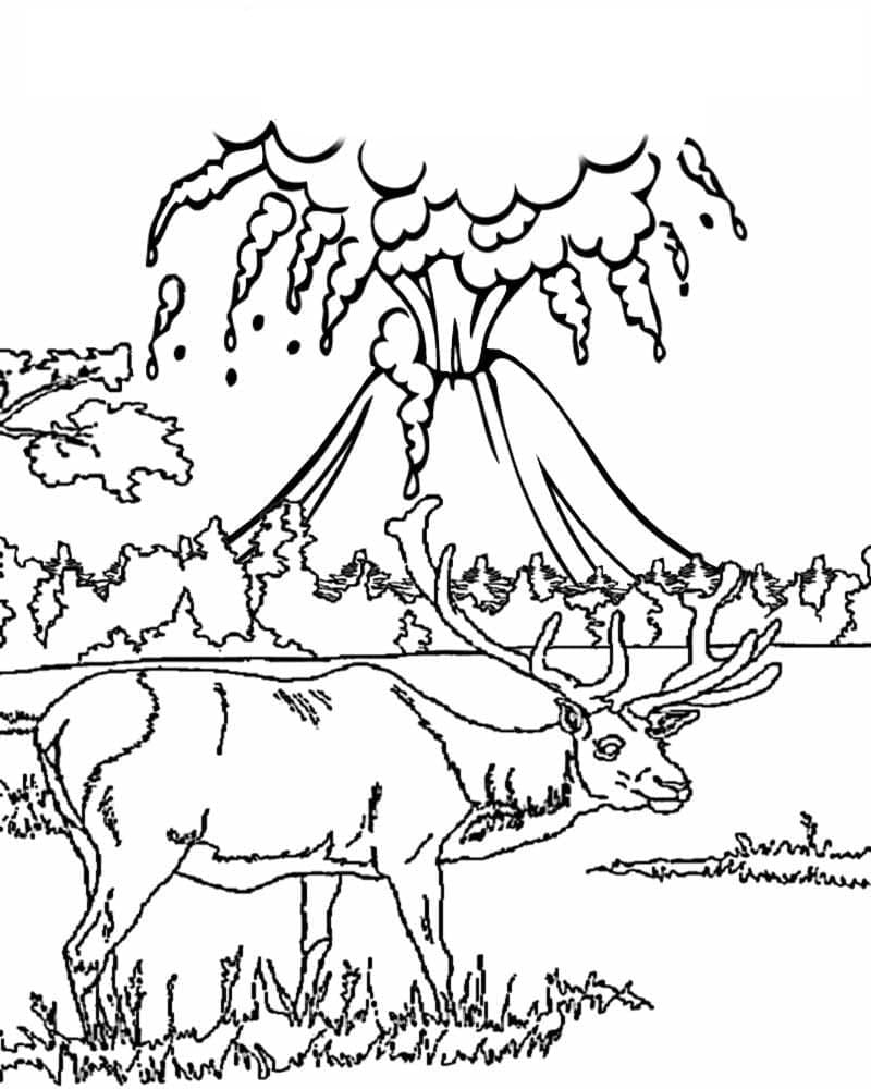 Desenho gratuito Vulcão #178073 da colecao Natureza e Estações para imprimir