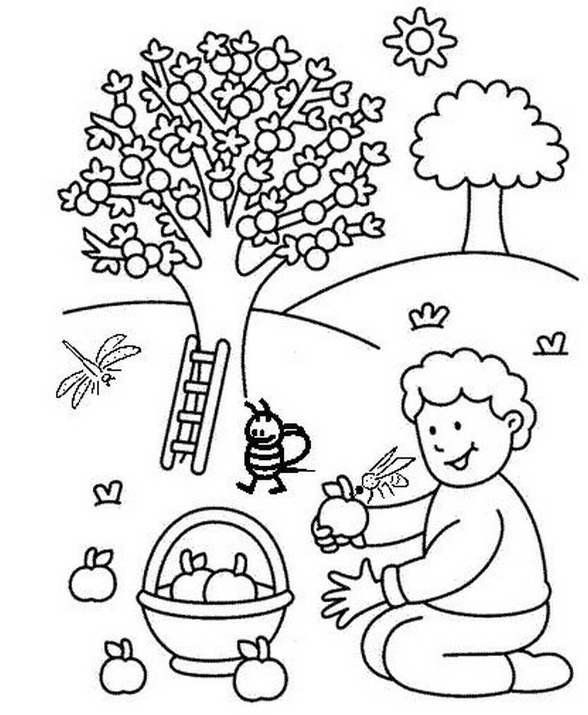 Página para colorir: árvore de maçã (Natureza) #163445 - Páginas para Colorir Imprimíveis Gratuitamente