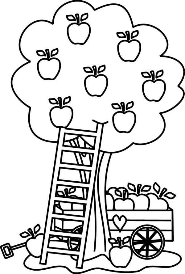 Página para colorir: árvore de maçã (Natureza) #163775 - Páginas para Colorir Imprimíveis Gratuitamente