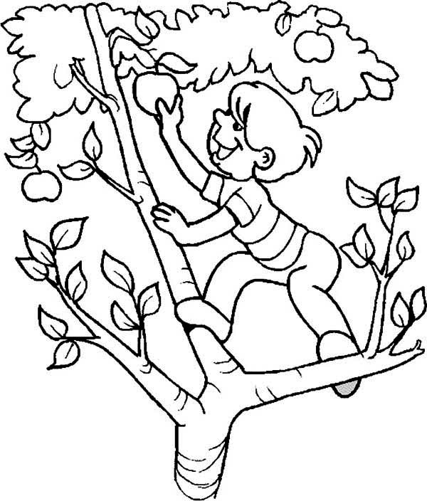 Página para colorir: árvore de maçã (Natureza) #163793 - Páginas para Colorir Imprimíveis Gratuitamente