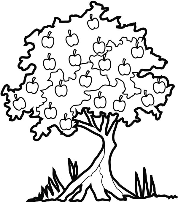 Página para colorir: árvore de maçã (Natureza) #163846 - Páginas para Colorir Imprimíveis Gratuitamente