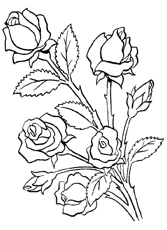 Página para colorir: Buquê de flores (Natureza) #160740 - Páginas para Colorir Imprimíveis Gratuitamente