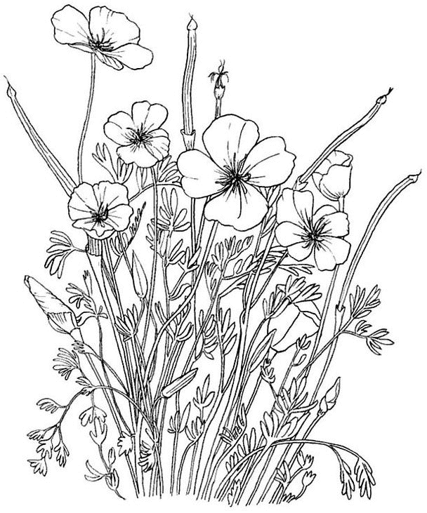 Página para colorir: Buquê de flores (Natureza) #160808 - Páginas para Colorir Imprimíveis Gratuitamente