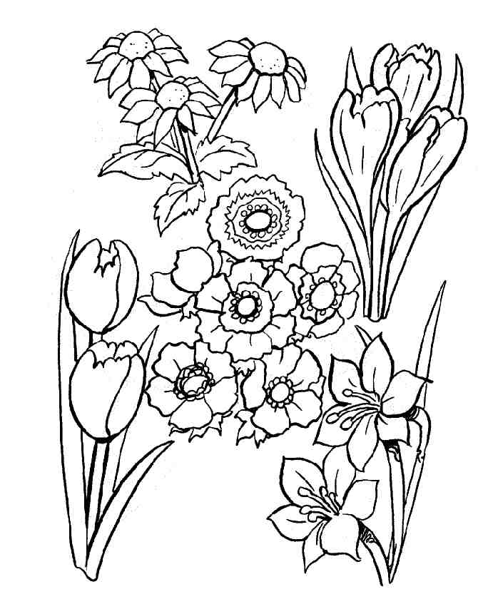 Página para colorir: Buquê de flores (Natureza) #160855 - Páginas para Colorir Imprimíveis Gratuitamente