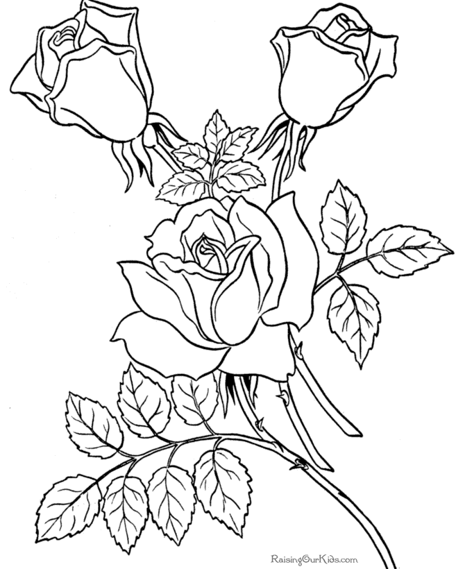 Página para colorir: Buquê de flores (Natureza) #161085 - Páginas para Colorir Imprimíveis Gratuitamente