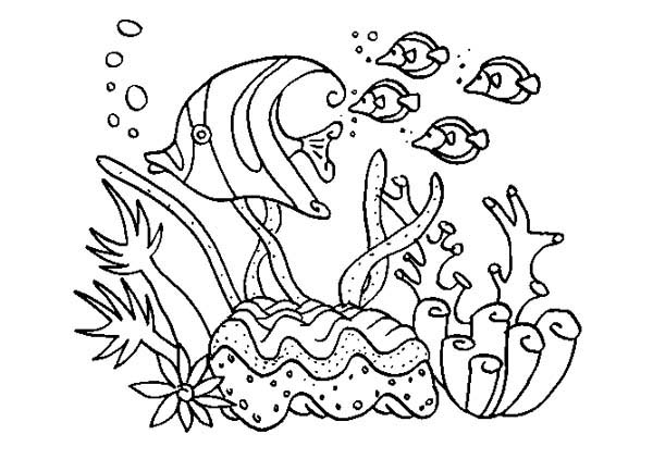 Página para colorir: Coral (Natureza) #162895 - Páginas para Colorir Imprimíveis Gratuitamente