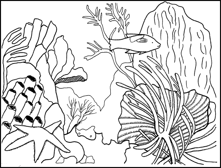 Página para colorir: Coral (Natureza) #162899 - Páginas para Colorir Imprimíveis Gratuitamente