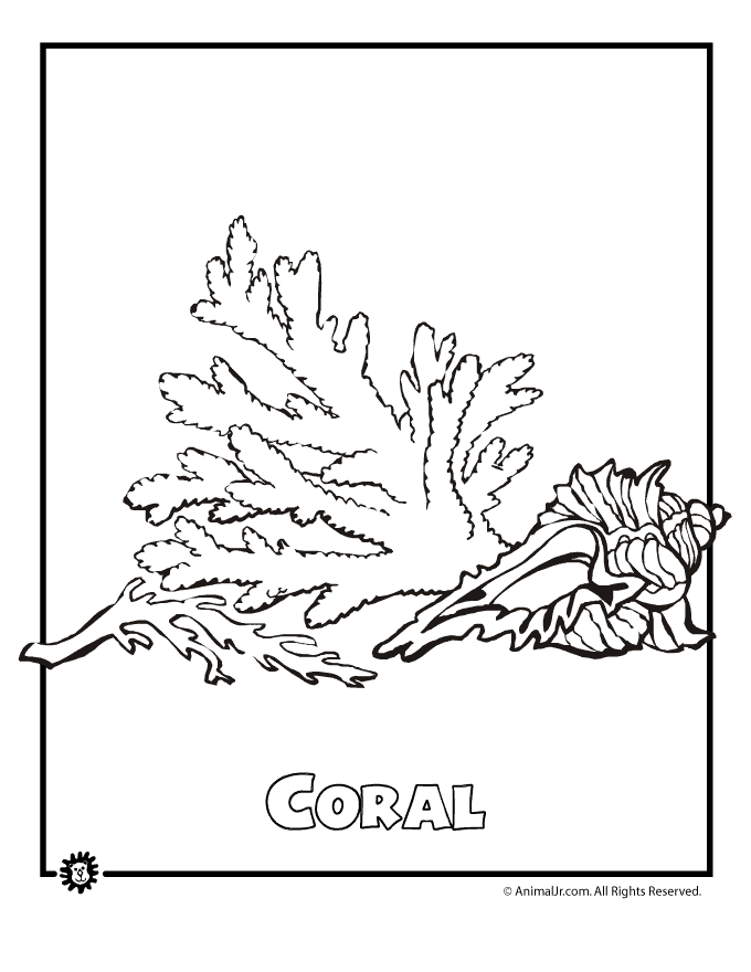 Página para colorir: Coral (Natureza) #162945 - Páginas para Colorir Imprimíveis Gratuitamente