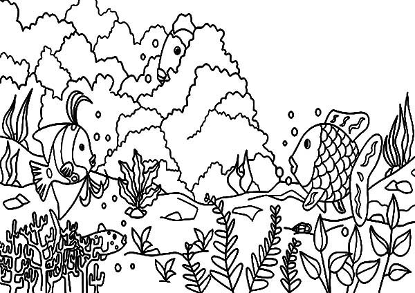 Página para colorir: Coral (Natureza) #162963 - Páginas para Colorir Imprimíveis Gratuitamente
