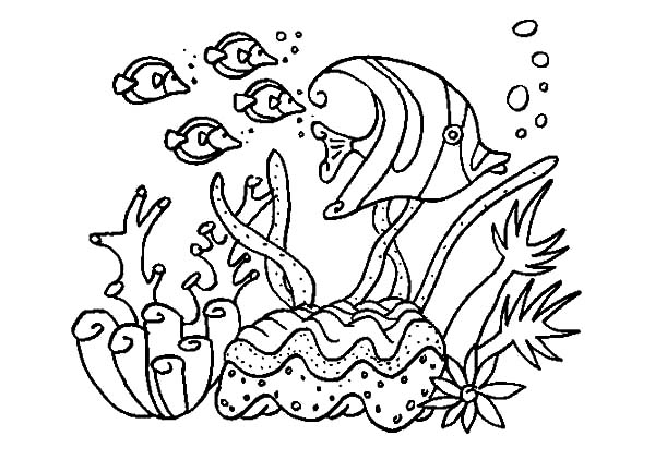 Página para colorir: Coral (Natureza) #162991 - Páginas para Colorir Imprimíveis Gratuitamente