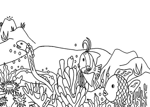 Página para colorir: Coral (Natureza) #163014 - Páginas para Colorir Imprimíveis Gratuitamente