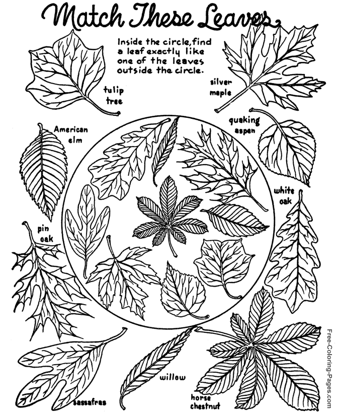Página para colorir: Estação do outono (Natureza) #164089 - Páginas para Colorir Imprimíveis Gratuitamente