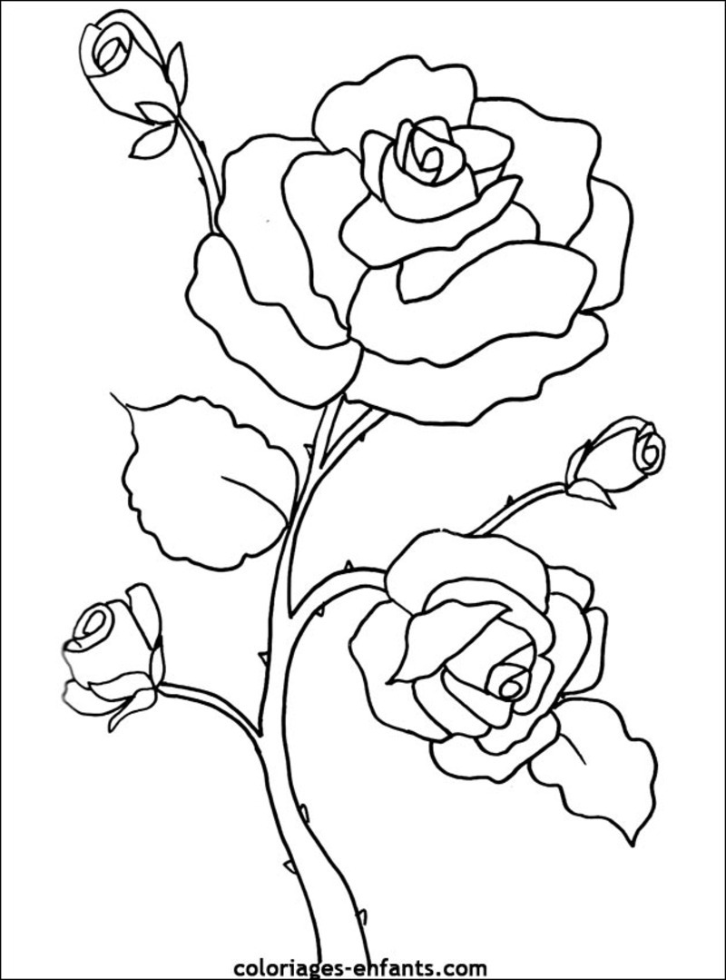 Página para colorir: flores (Natureza) #154967 - Páginas para Colorir Imprimíveis Gratuitamente