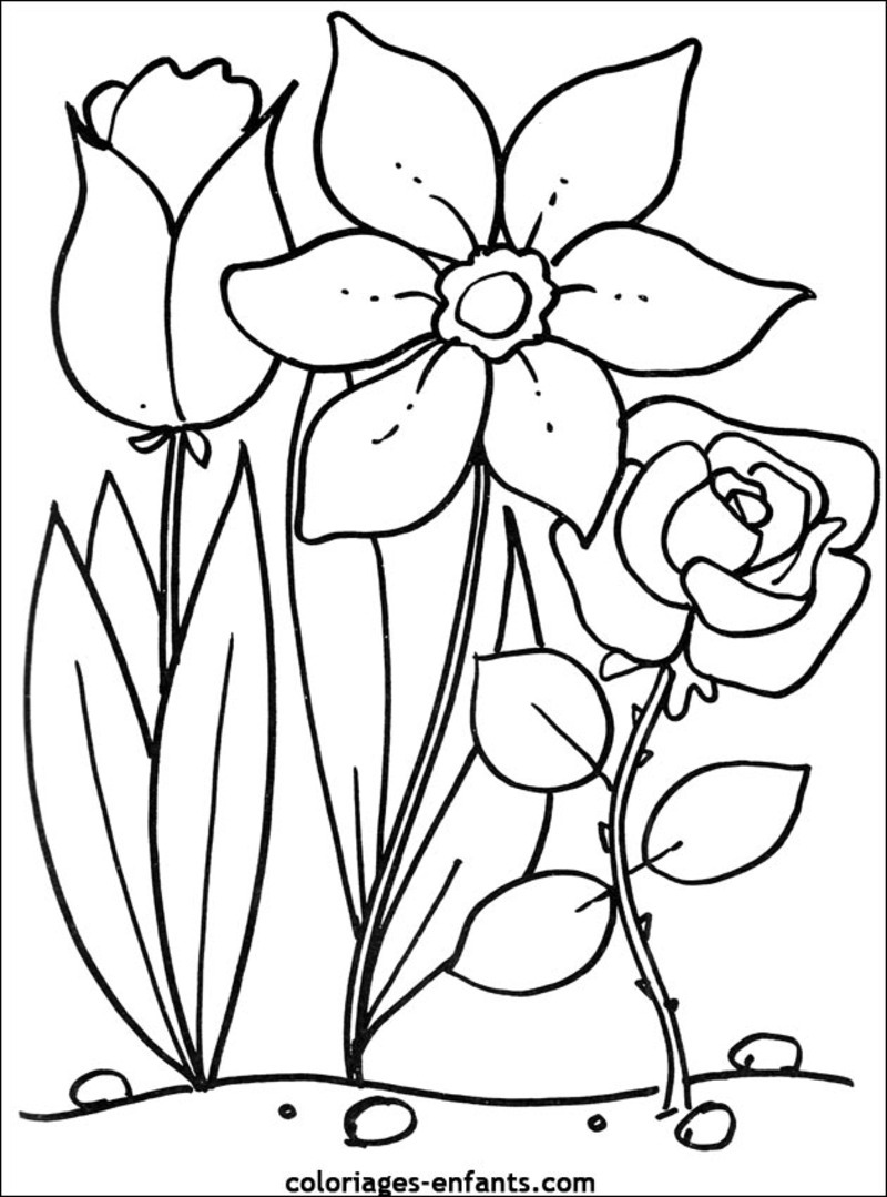 Página para colorir: flores (Natureza) #154975 - Páginas para Colorir Imprimíveis Gratuitamente