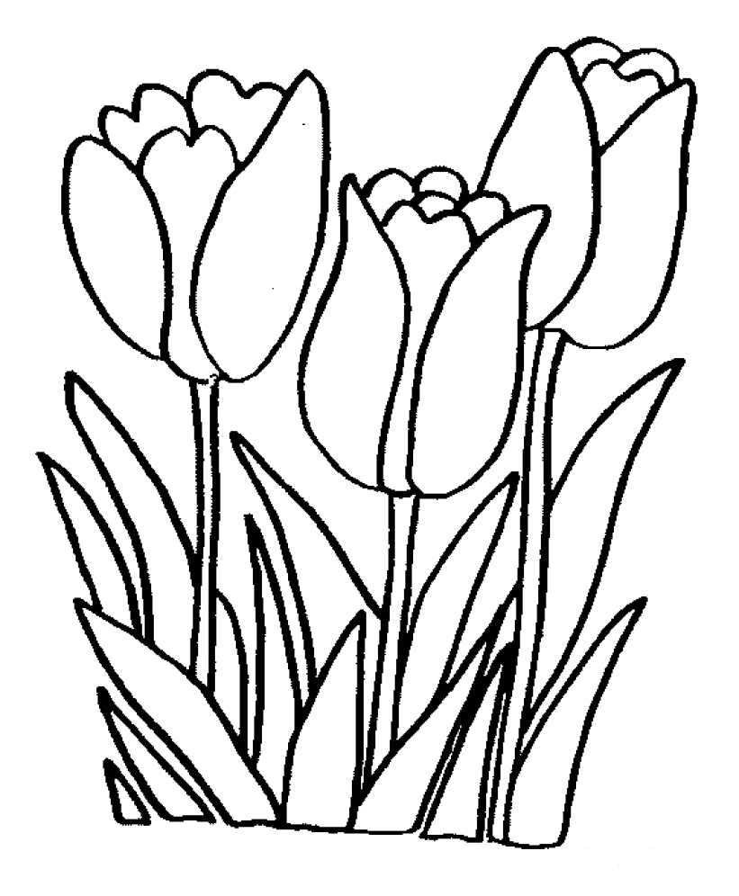 Página para colorir: flores (Natureza) #154991 - Páginas para Colorir Imprimíveis Gratuitamente
