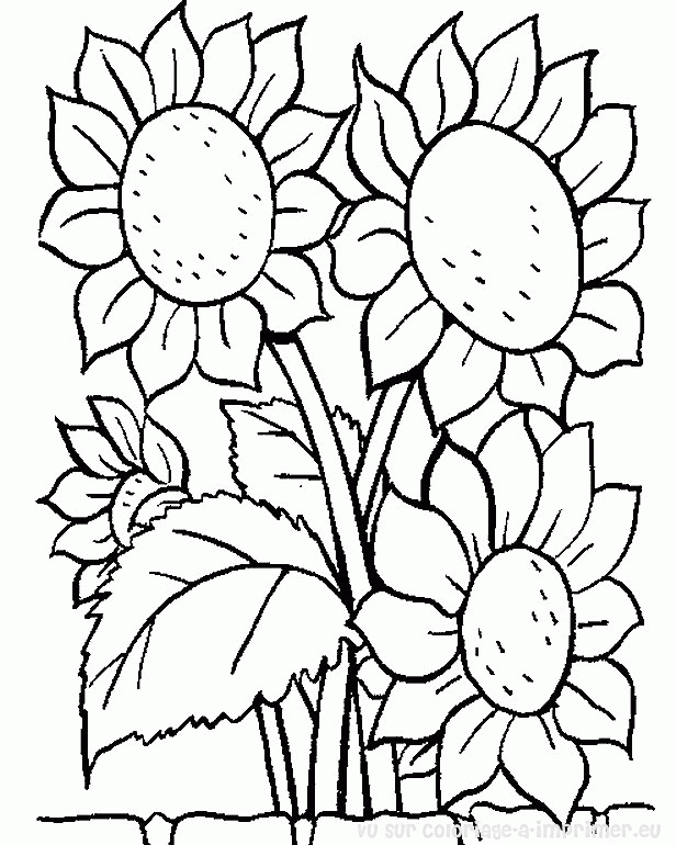 Página para colorir: flores (Natureza) #155000 - Páginas para Colorir Imprimíveis Gratuitamente