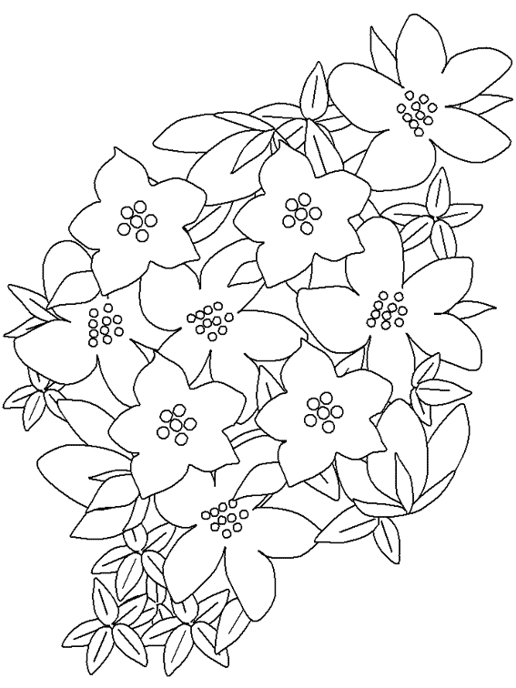 Página para colorir: flores (Natureza) #155063 - Páginas para Colorir Imprimíveis Gratuitamente