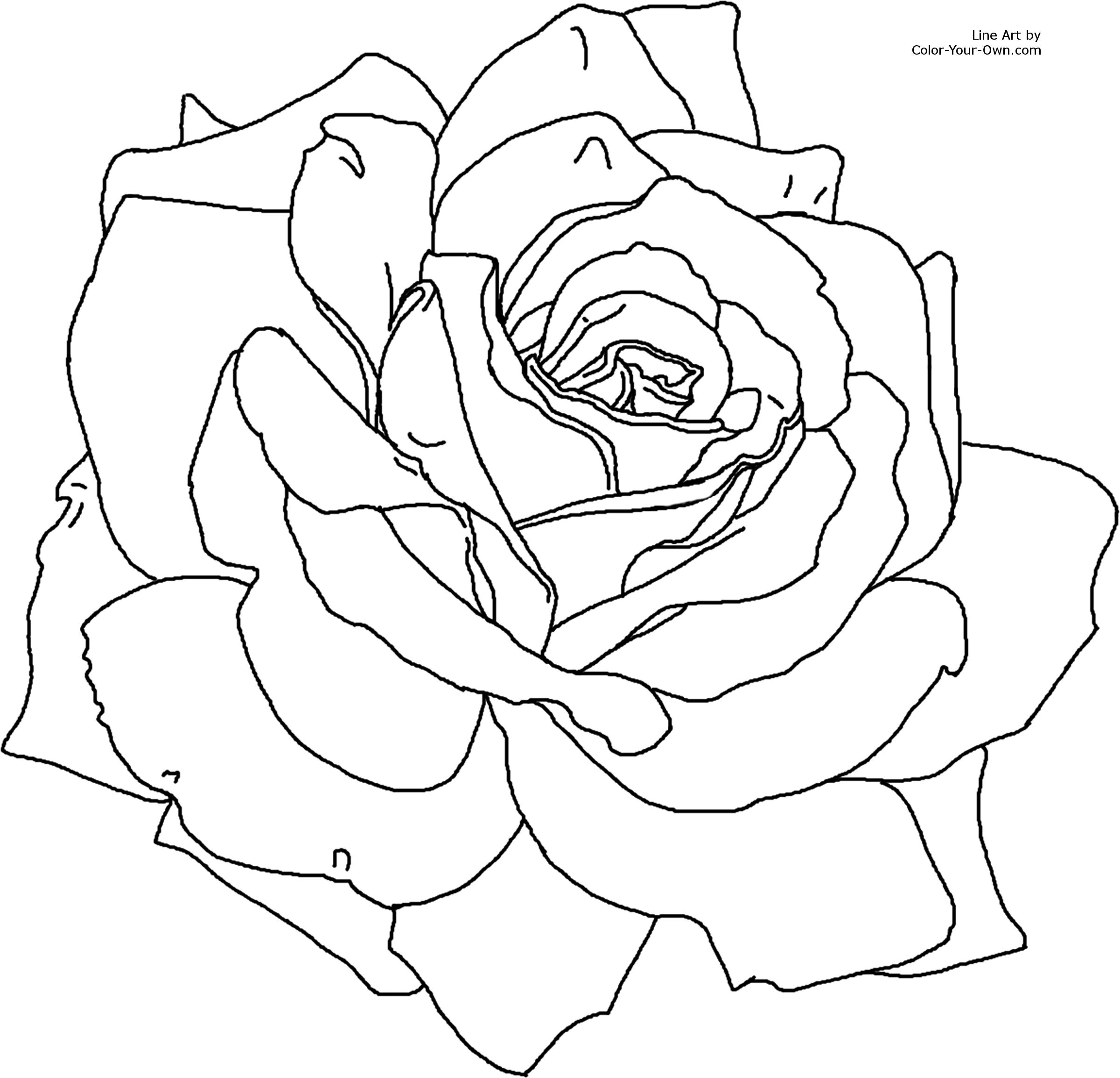 Página para colorir: flores (Natureza) #155098 - Páginas para Colorir Imprimíveis Gratuitamente