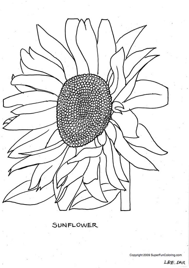 Página para colorir: flores (Natureza) #155121 - Páginas para Colorir Imprimíveis Gratuitamente