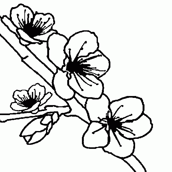 Página para colorir: flores (Natureza) #155191 - Páginas para Colorir Imprimíveis Gratuitamente