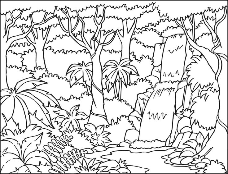 Página para colorir: Floresta (Natureza) #157061 - Páginas para Colorir Imprimíveis Gratuitamente