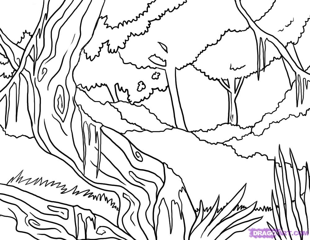 Página para colorir: Floresta (Natureza) #157202 - Páginas para Colorir Imprimíveis Gratuitamente